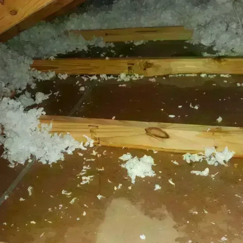 Attic Water Damage in Rothschild, WI