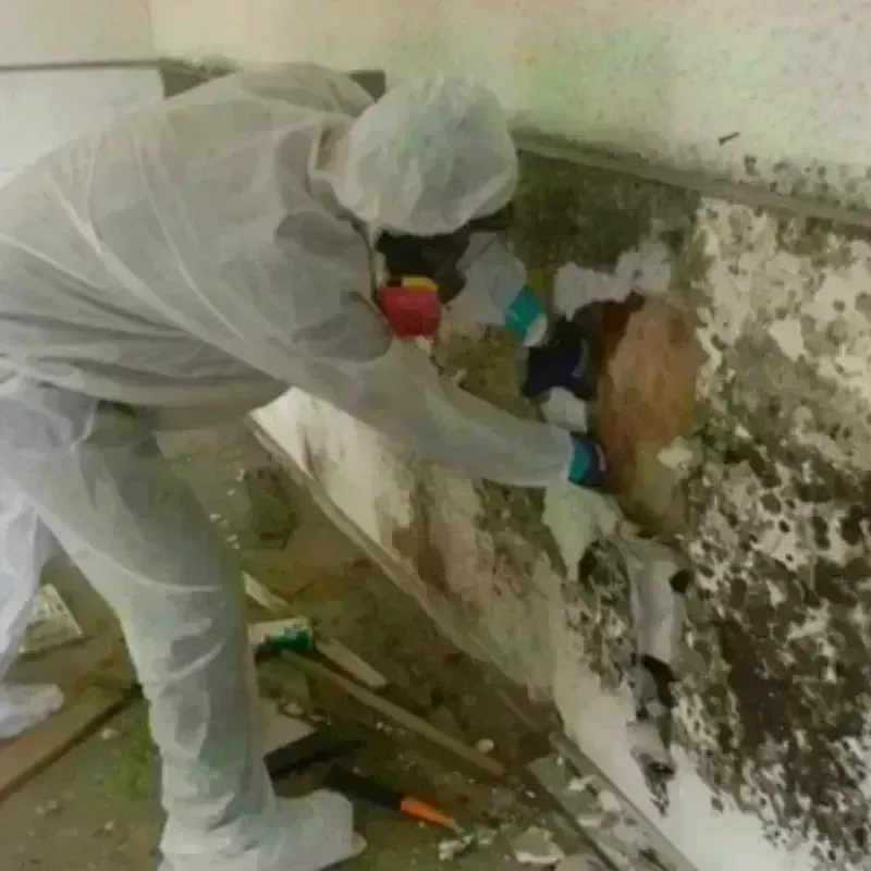 Mold Remediation and Removal in Rothschild, WI