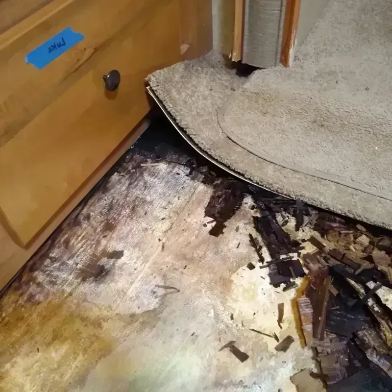 Wood Floor Water Damage in Rothschild, WI